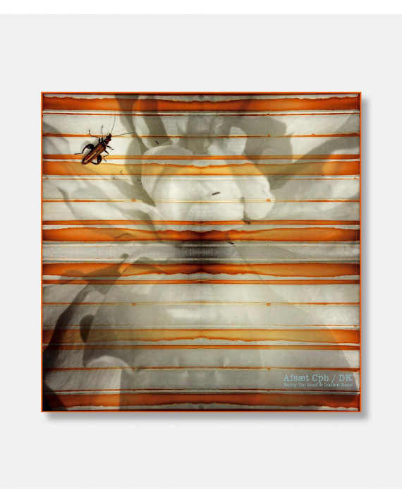 Rusted Tin Roof & Italian Rose - Silk scarf 90 x 90 cm