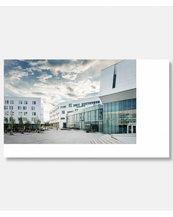 Lifting the Gaze - Juul Frost Architects