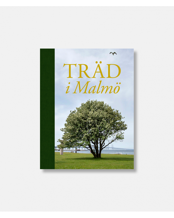 Träd i Malmö