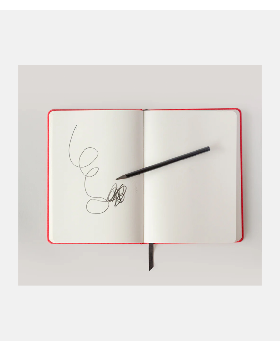 Hoxton Mini Press Notebook - A NoteBook For Bad Ideas - Grey