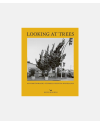 Looking at Trees - New Photography of Trees, Forests & Woodlands