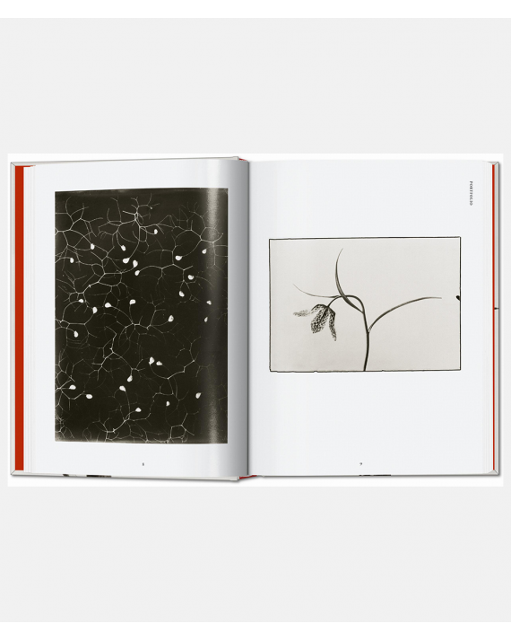 Karl Blossfeldt - The Complete Published Works
