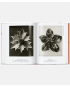 Karl Blossfeldt - The Complete Published Works